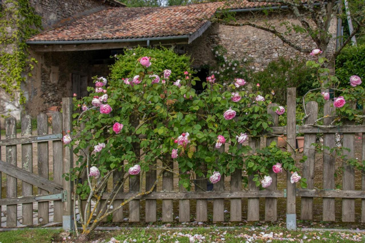 拉珀特利住宿加早餐旅馆 Vouneuil-sur-Vienne 外观 照片