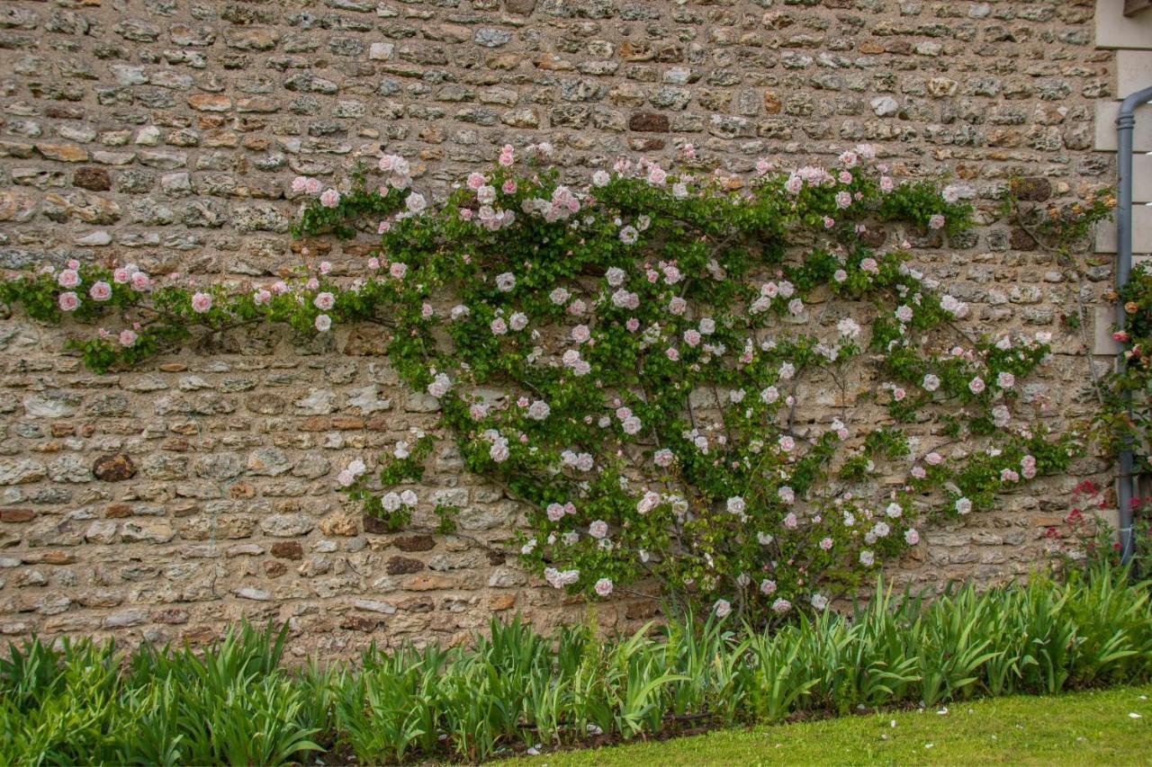 拉珀特利住宿加早餐旅馆 Vouneuil-sur-Vienne 外观 照片