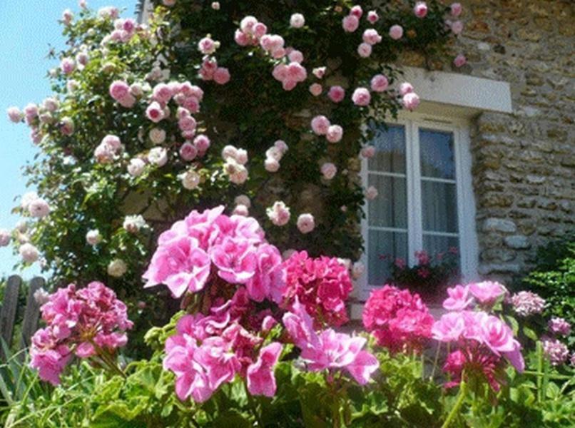 拉珀特利住宿加早餐旅馆 Vouneuil-sur-Vienne 外观 照片